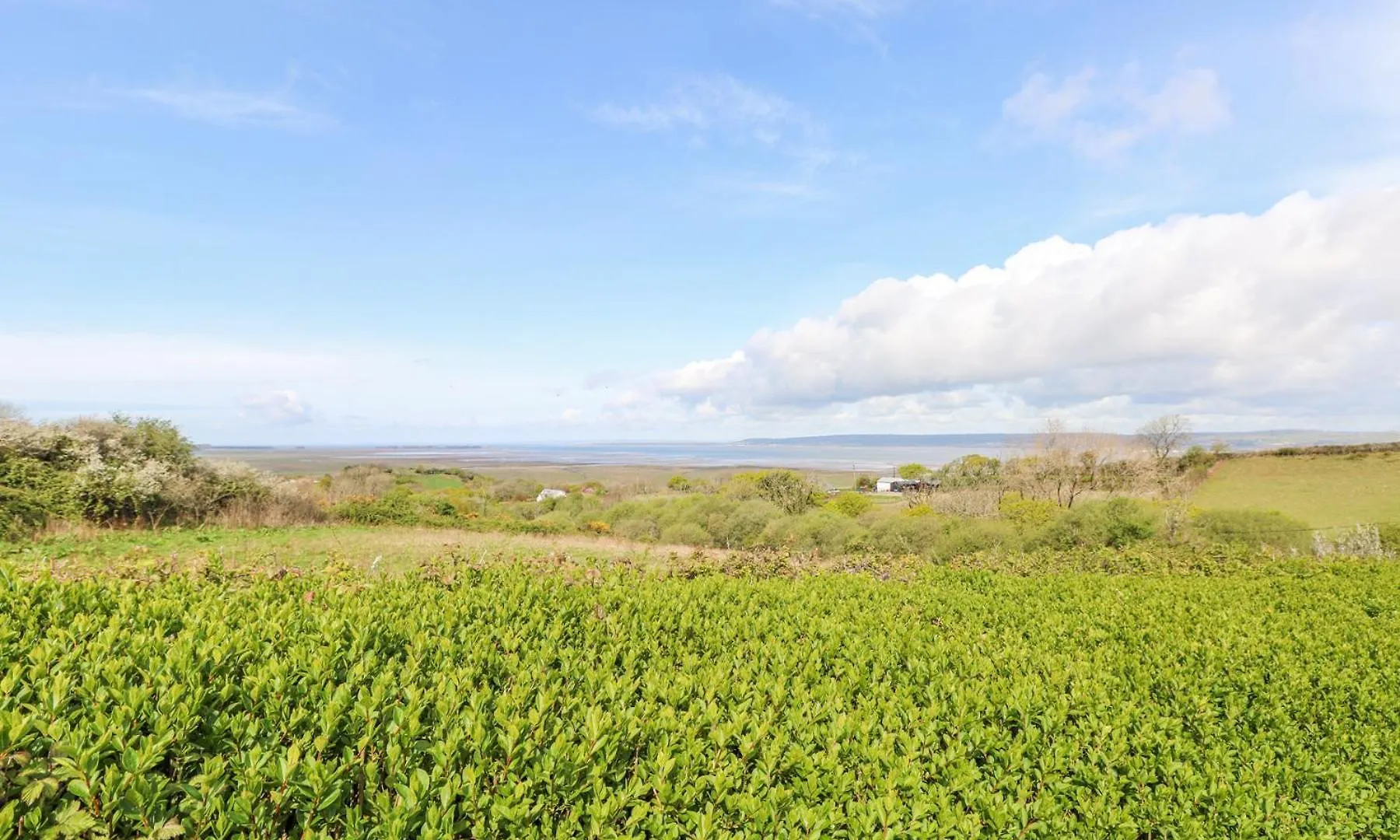 Holiday home Burry House Villa Swansea